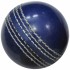 BEACH CRICKET BALL BLUE