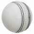 BEACH CRICKET BALL WHITE