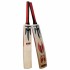 Mani Professional Cricket Bat