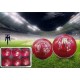  HARD CRICKET   BALL (PACK OF 6 )